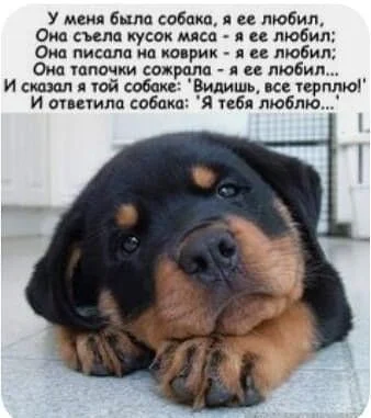 i - 2022-05-13T205510.618.webp