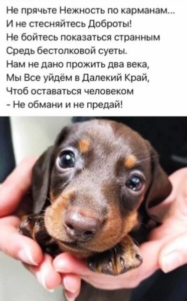 i - 2022-05-20T215634.837.webp