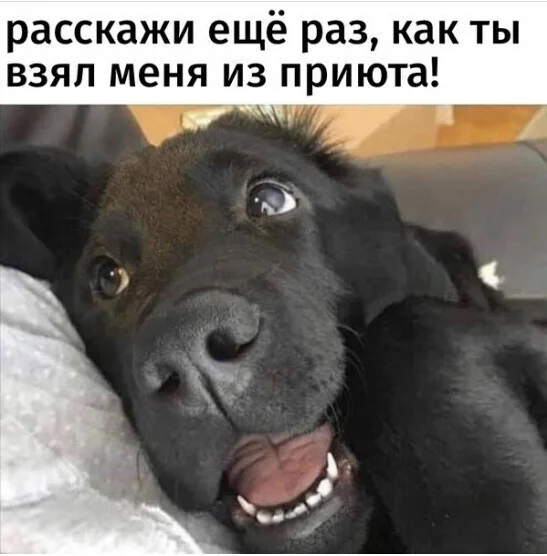 i - 2022-05-23T185100.575.webp