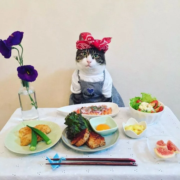 i - 2022-09-15T135755.280.webp