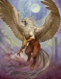 i - 2022-09-18T141623.664.webp