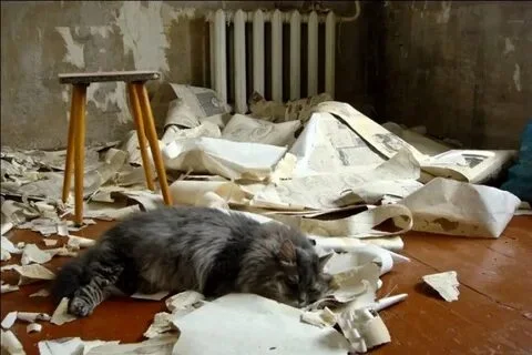 i - 2022-09-21T143220.866.webp