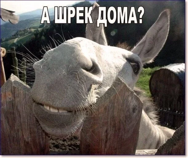 i - 2023-08-14T220210.132.webp