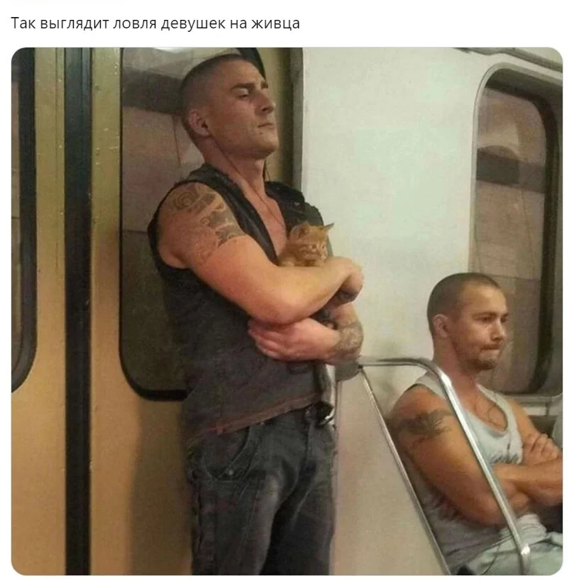 i - 2023-08-20T193509.928.webp