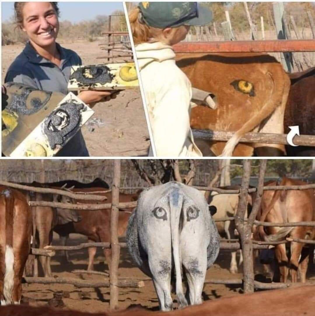 i - 2023-09-24T082348.090.jpeg