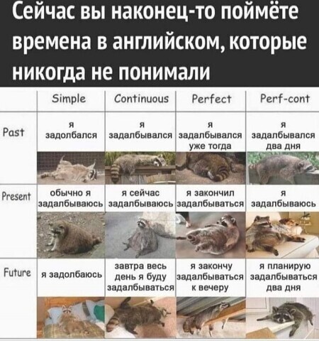 i - 2023-10-21T105152.093.jpeg