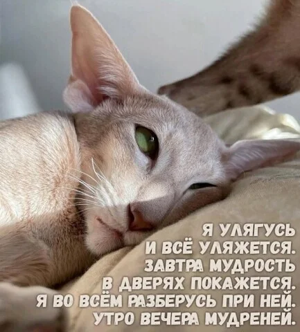 i - 2023-11-10T191732.548.webp