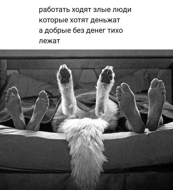 i - 2023-11-22T192044.747.webp