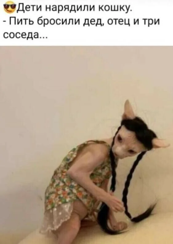 i - 2024-01-29T184211.119.webp