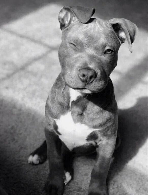 i - 2024-04-12T220549.072.jpeg