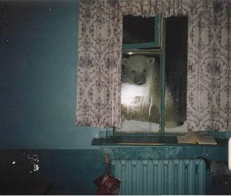 i - 2024-06-14T222440.990.webp