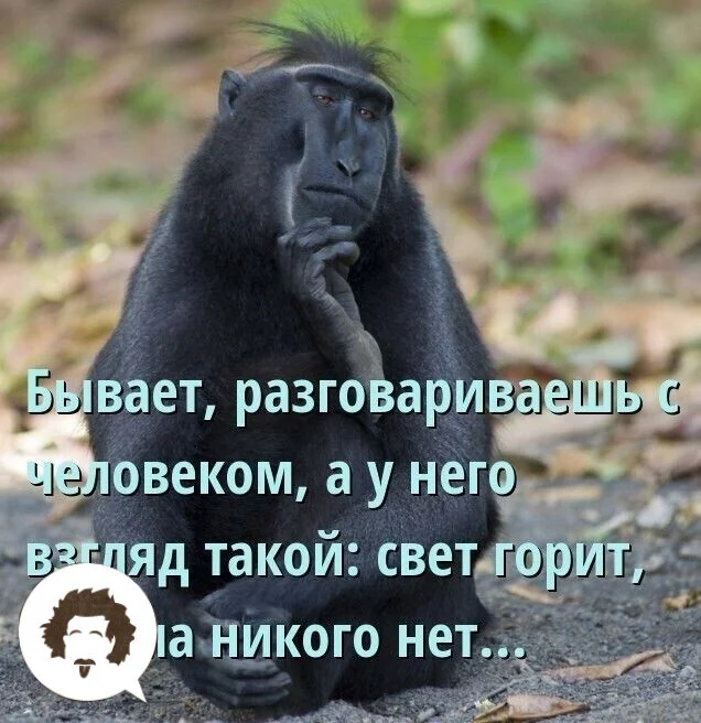 i - 2024-06-17T212623.395.webp