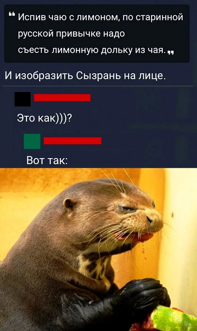 i - 2024-09-26T182445.610.webp