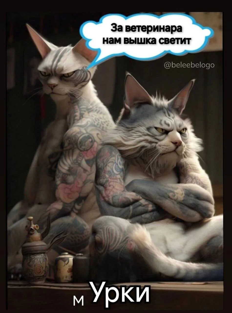 i - 2024-09-29T075747.099.webp