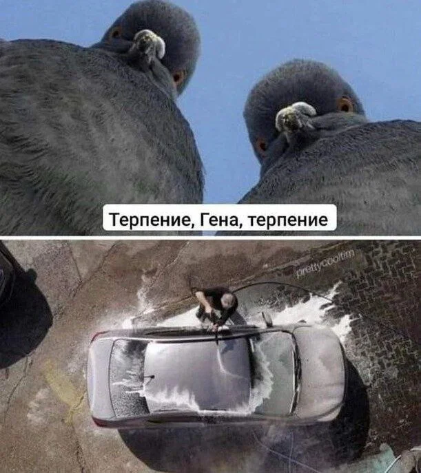 i - 2024-10-17T180237.491.webp