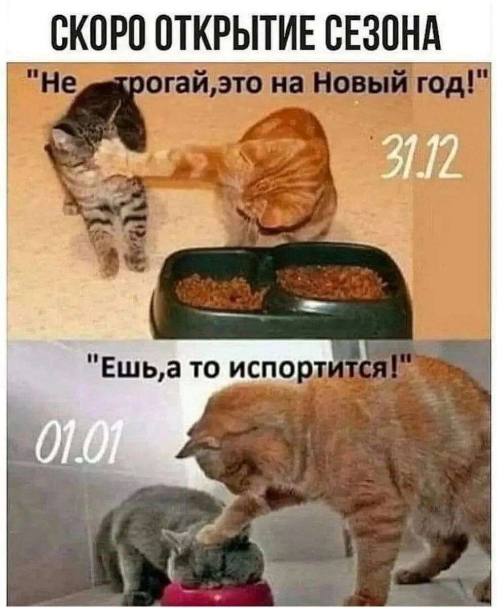 i - 2024-12-29T185657.804.webp