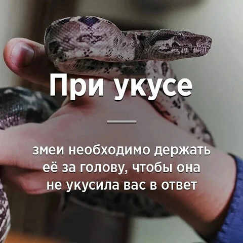 i - 2025-07-17T213157.746.webp