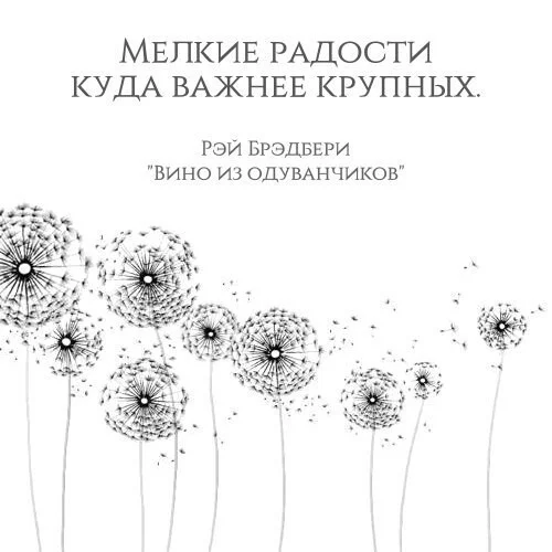 i - 2025-08-09T113639.325.webp