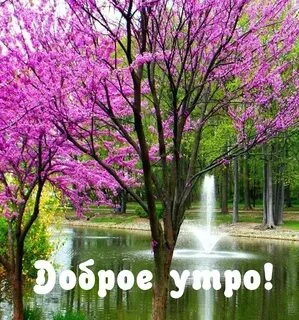 i (3) - 2023-05-08T072640.977.webp