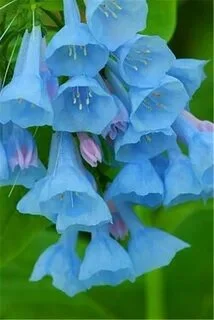 i (3) - 2023-09-22T085932.731.webp