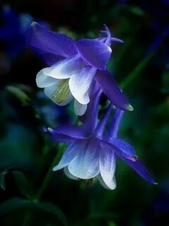 i (3) - 2023-09-22T092615.123.jpeg