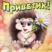 i (3).webp