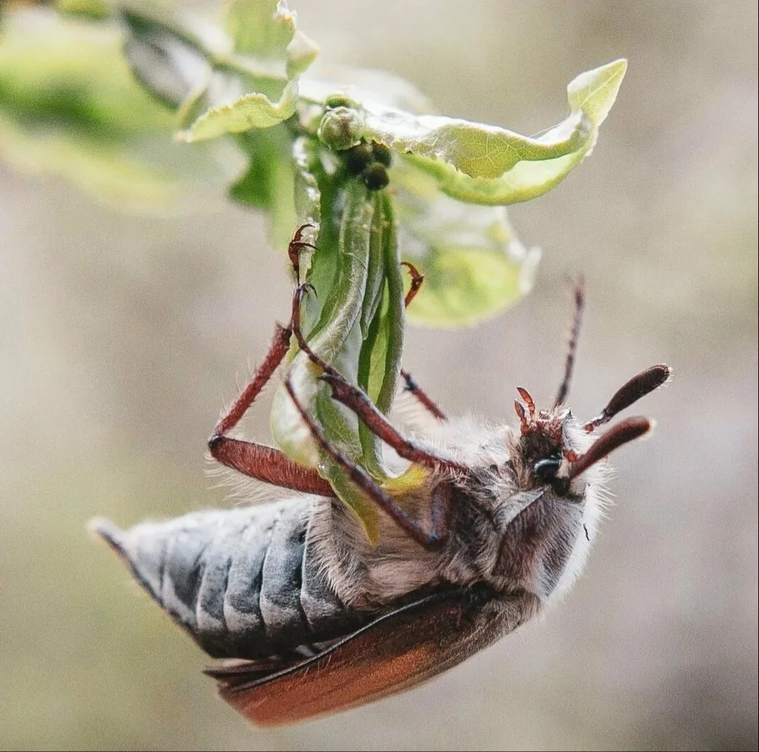 i (44)_edit_960241691623590.webp