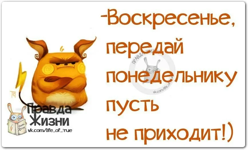 i (7).webp