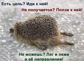 i (7).webp