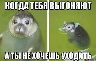 i (7).webp