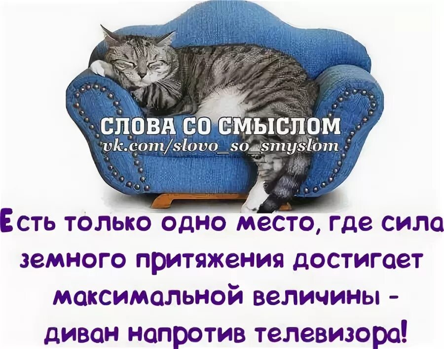 i.jpeg