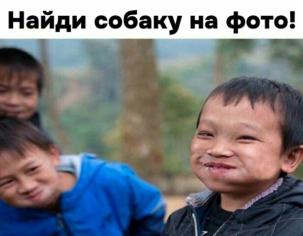i.jpeg