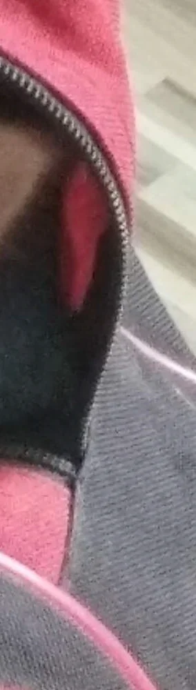 i — копия.webp