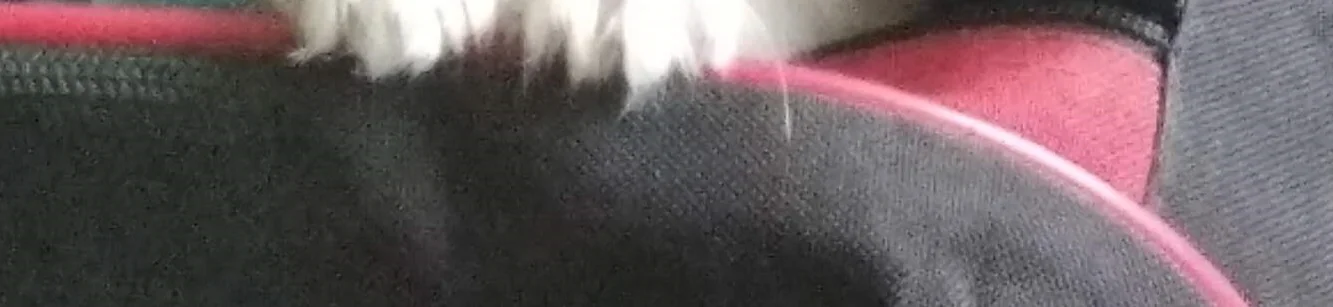 i — копия.webp