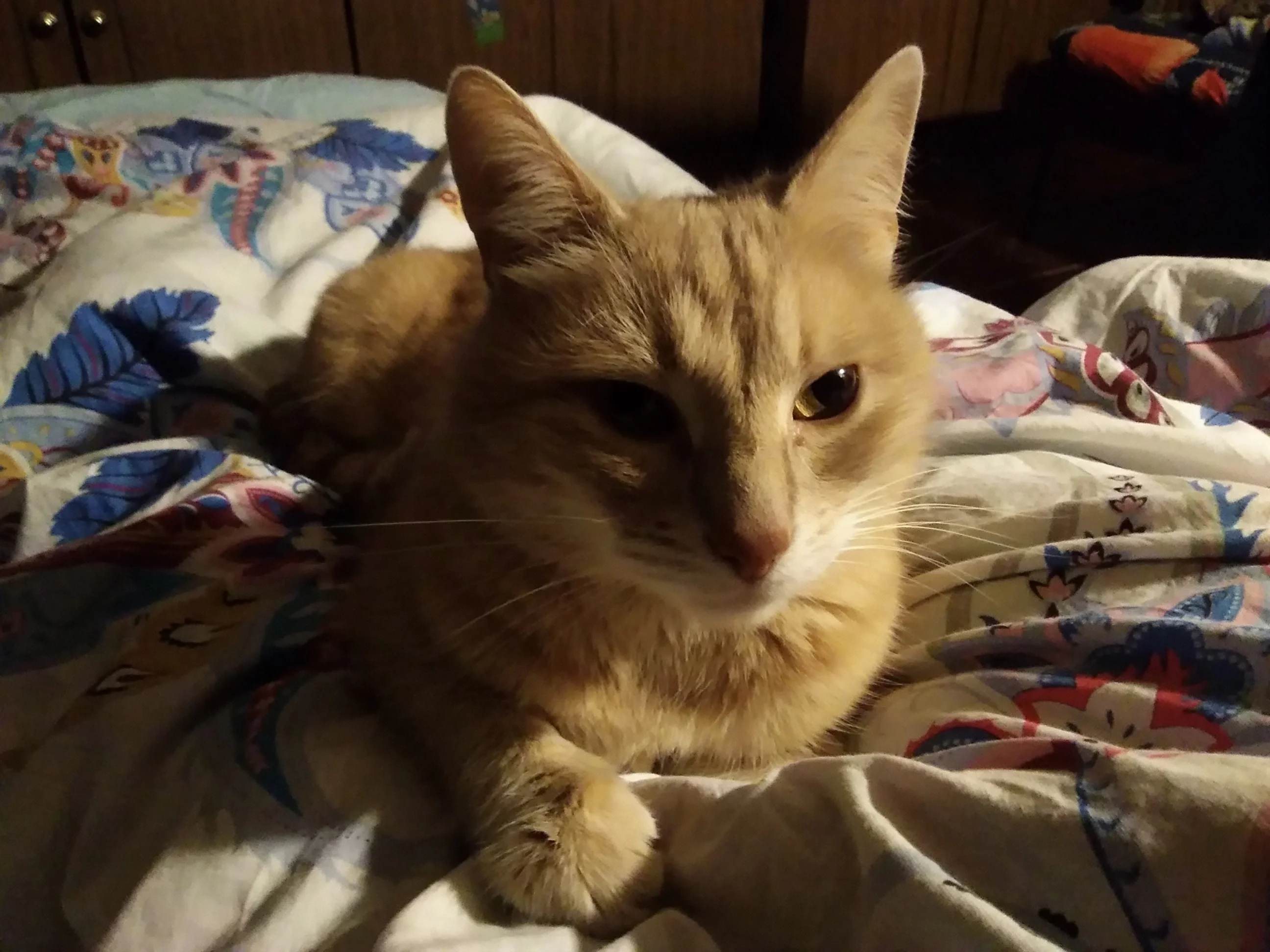 И кто куда там спешил.jpg