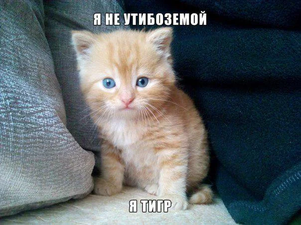 й.webp