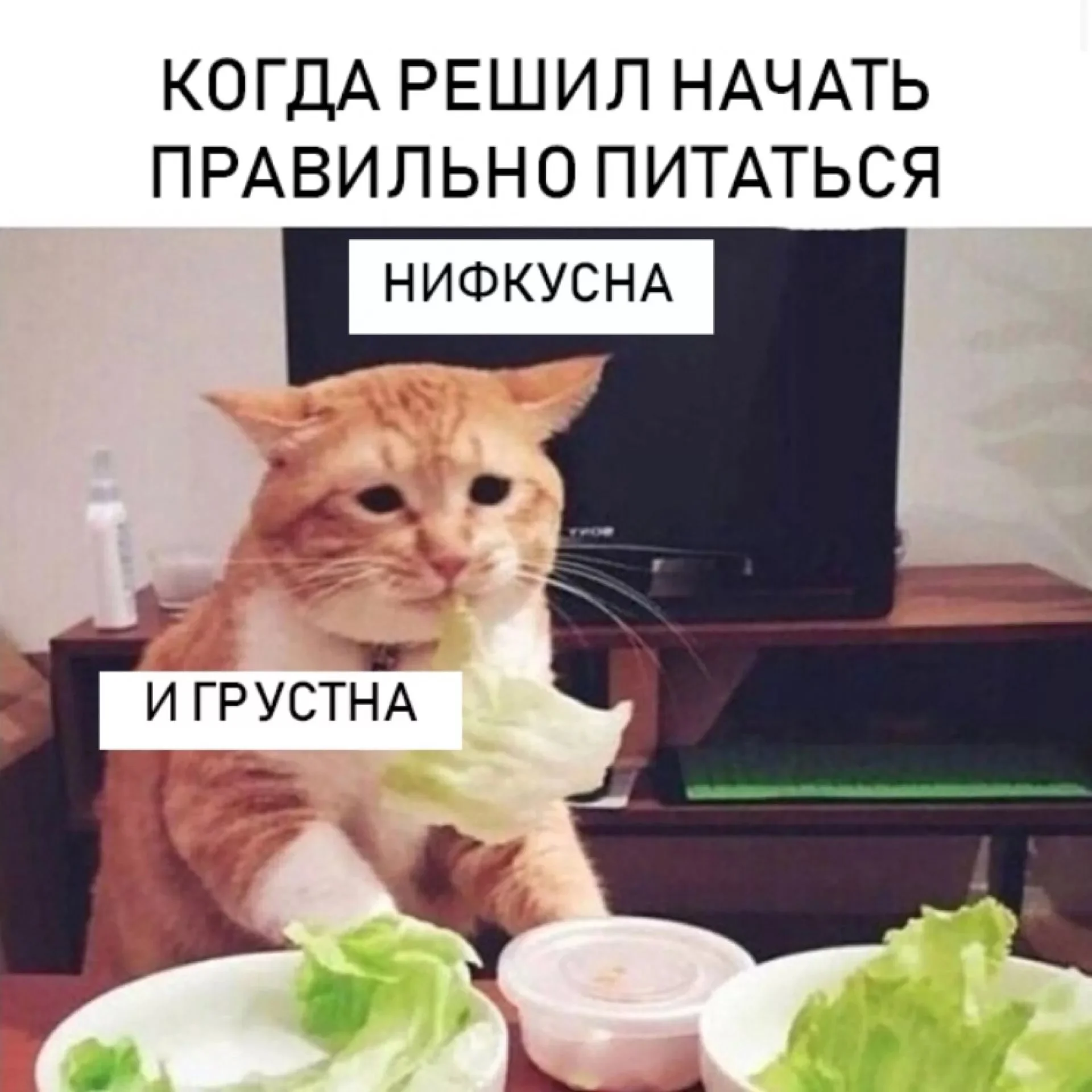 й.webp