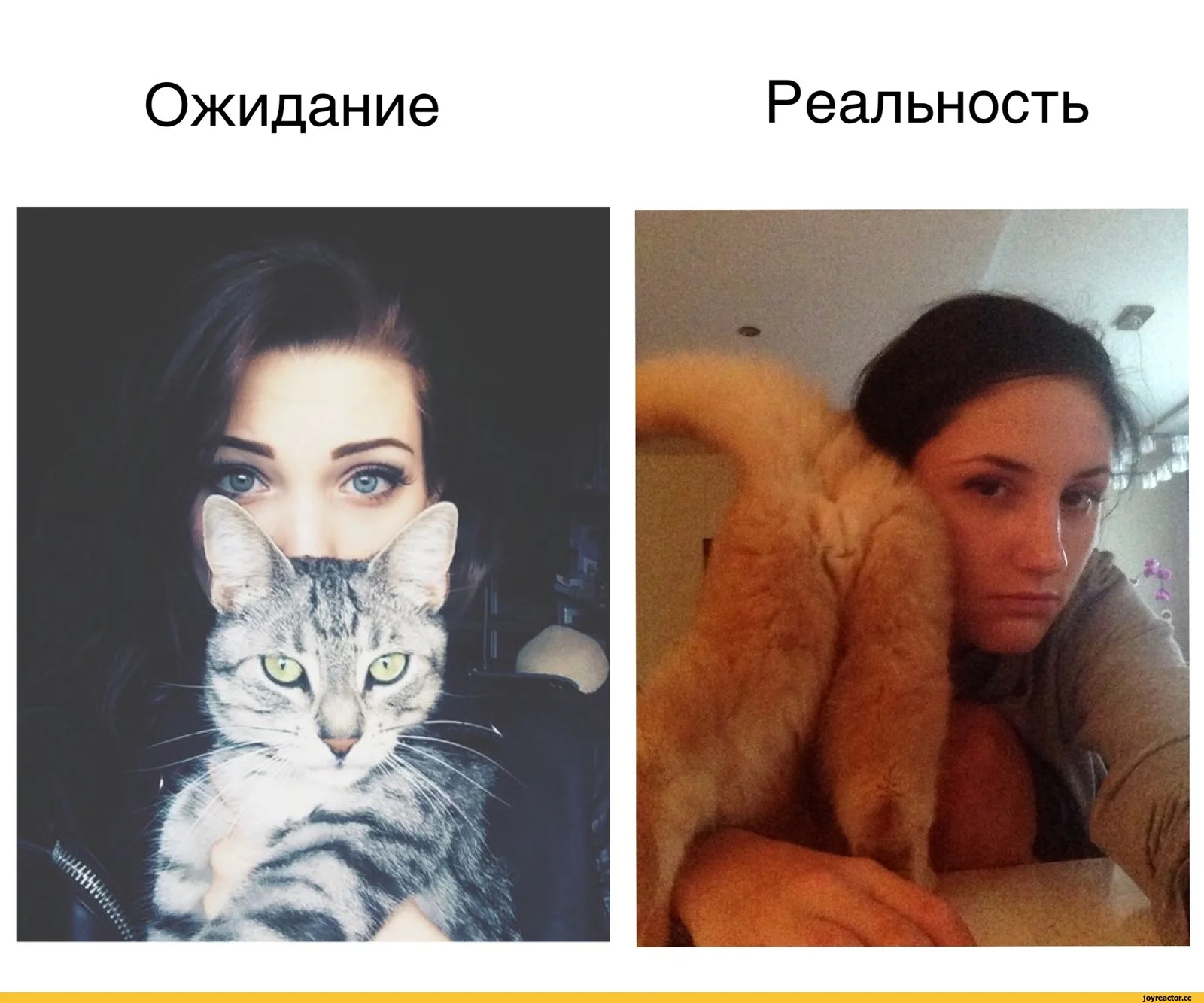й.webp