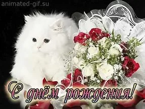 i.webp