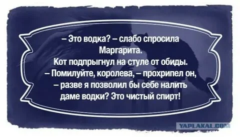 i.webp