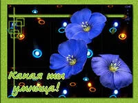 i.webp