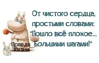 i.webp
