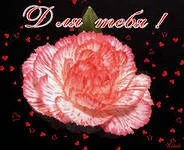 i.webp