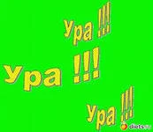 i.webp