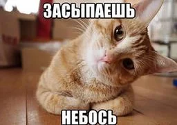i.webp