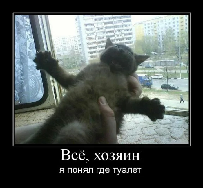 й1.webp