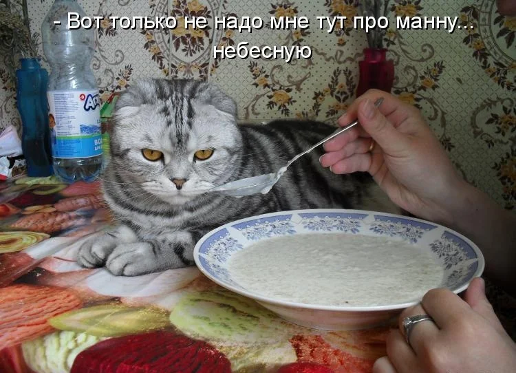 й1.webp