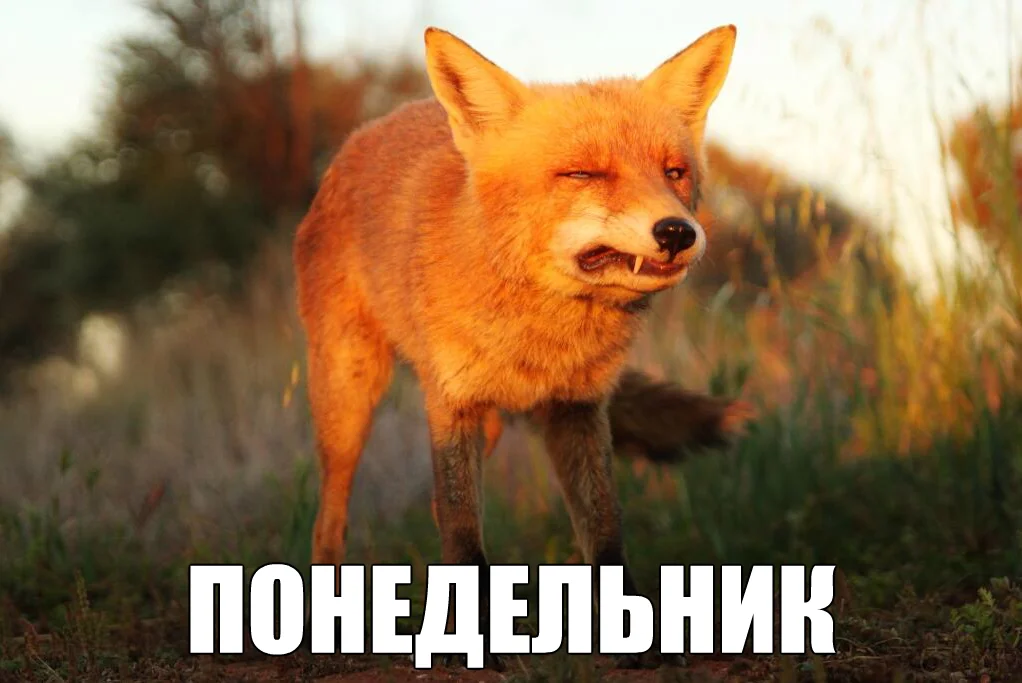 й1.webp