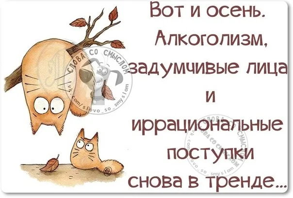 I2b-Rg-KQw0.webp