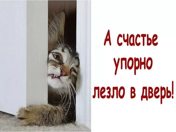 й4.webp
